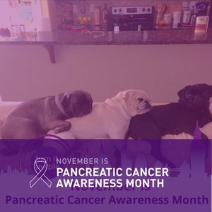 Meet your Posher, Beverly